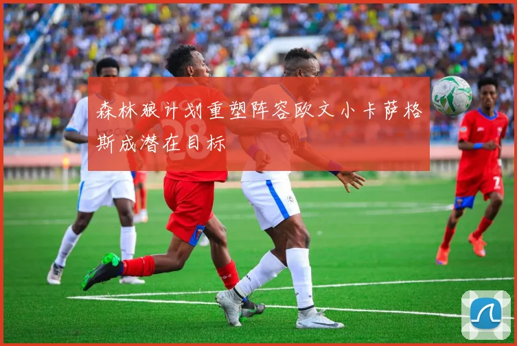 森林狼计划重塑阵容欧文小卡萨格斯成潜在目标