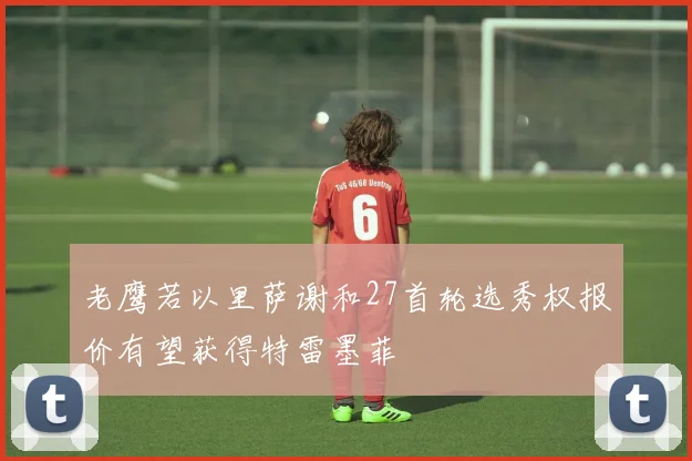 老鹰若以里萨谢和27首轮选秀权报价有望获得特雷墨菲